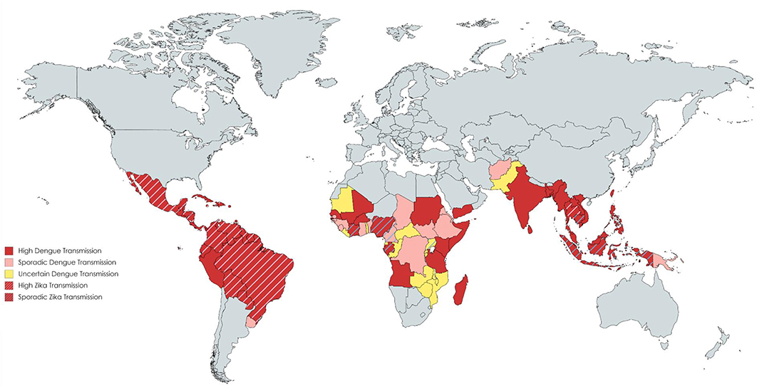 www.frontiersin.org