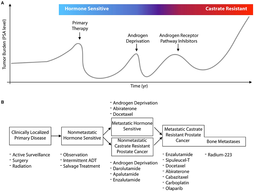 prostate cancer ppt 2020