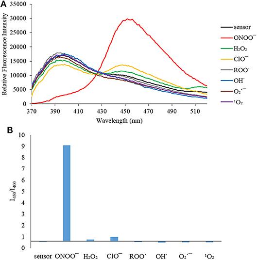 Frontiers  Sensing Peroxynitrite in Different Organelles of Murine RAW264.7  Macrophages With Coumarin-Based Fluorescent Probes