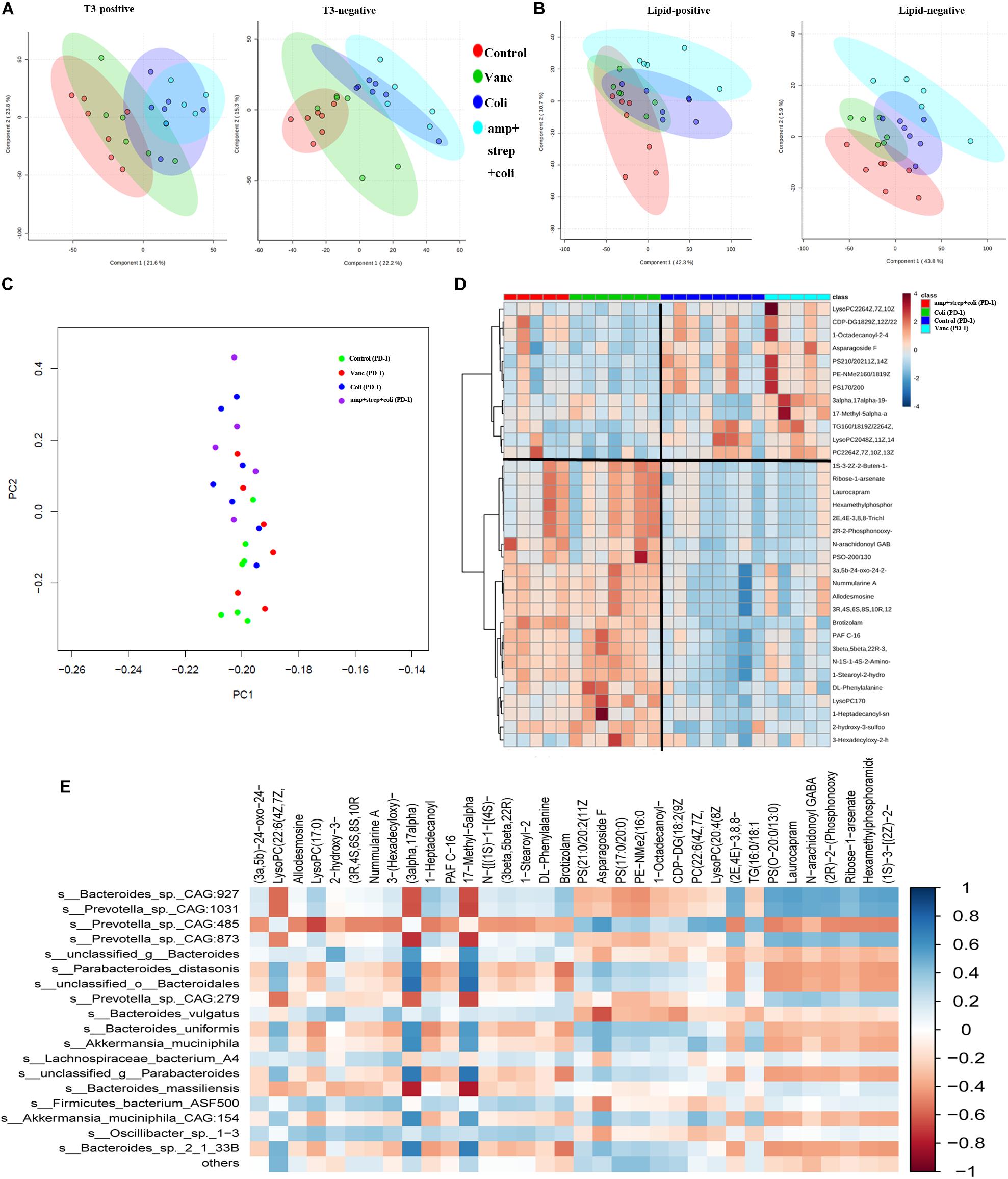 Frontiers Gut Microbiome Influences The Efficacy Of Pd 1 Antibody Immunotherapy On Mss Type Colorectal Cancer Via Metabolic Pathway Microbiology