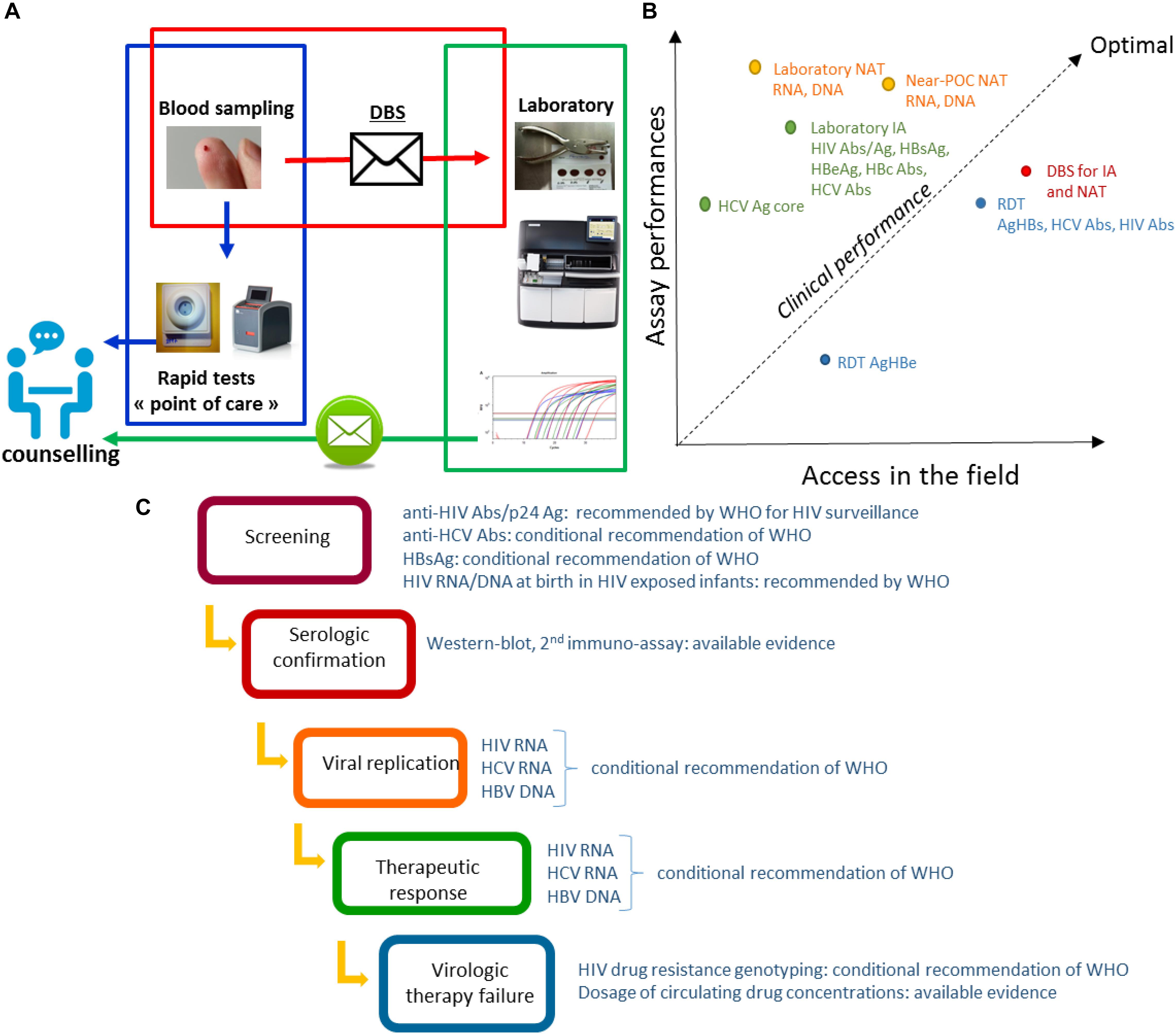 Frontiers Dried Blood Spot Tests For The Diagnosis And Therapeutic Monitoring Of Hiv And Viral Hepatitis B And C Microbiology