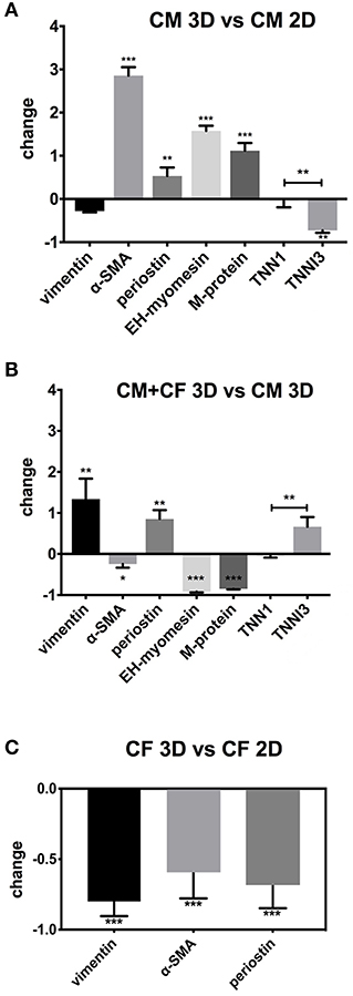 Frontiers 3d Co Culture Of Hipsc Derived Cardiomyocytes With Cardiac Fibroblasts Improves Tissue Like Features Of Cardiac Spheroids Molecular Biosciences