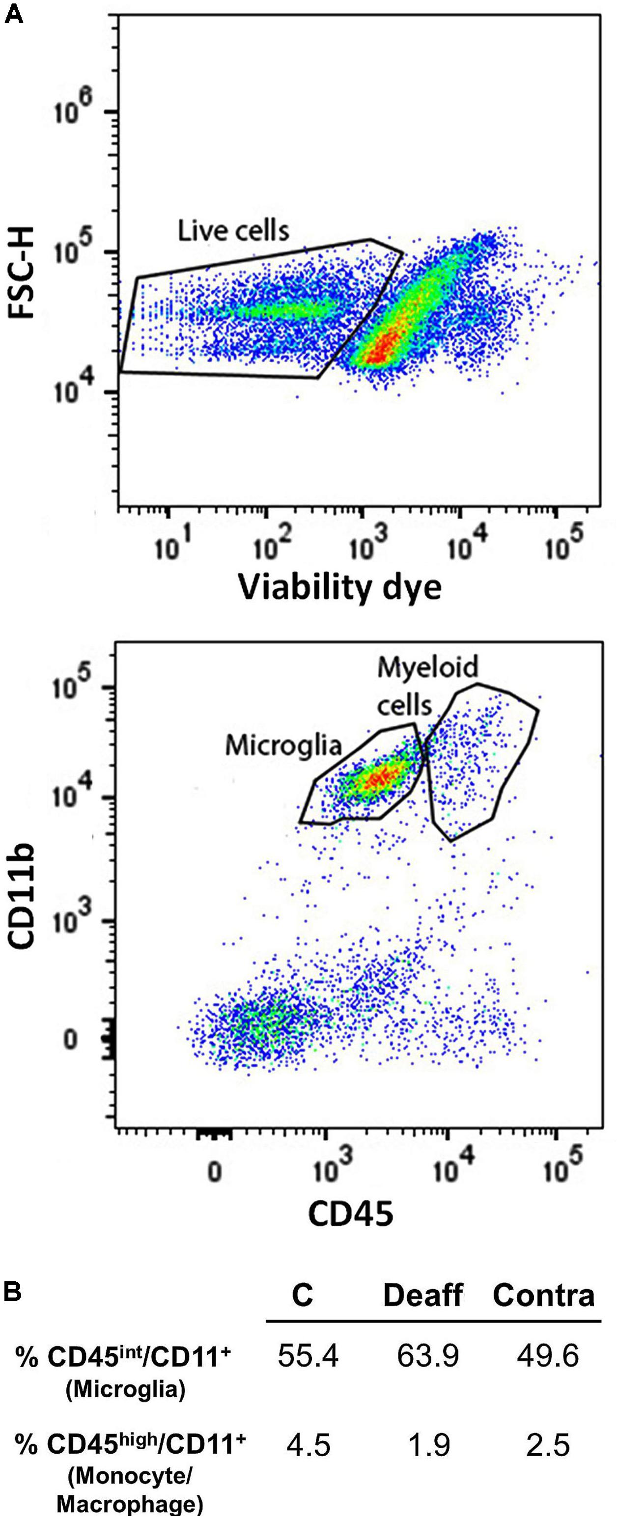 imaris spots tool stereology