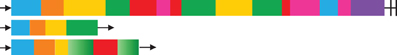 www.frontiersin.org
