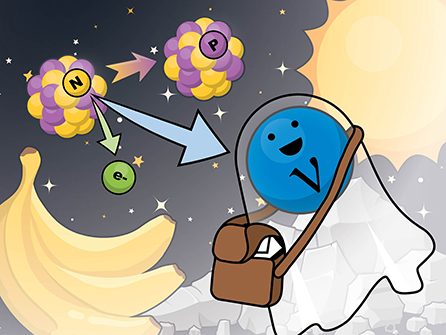 Figure 1 - Decay of a radioactive atom, potassium-40—which is found in bananas and has 40 protons (p) and neutrons (n) in its nucleus—into calcium-40, plus an electron (e–) and a neutral “ghostlike” messenger particle called a neutrino (Greek letter: ν, pronounced “nu”).