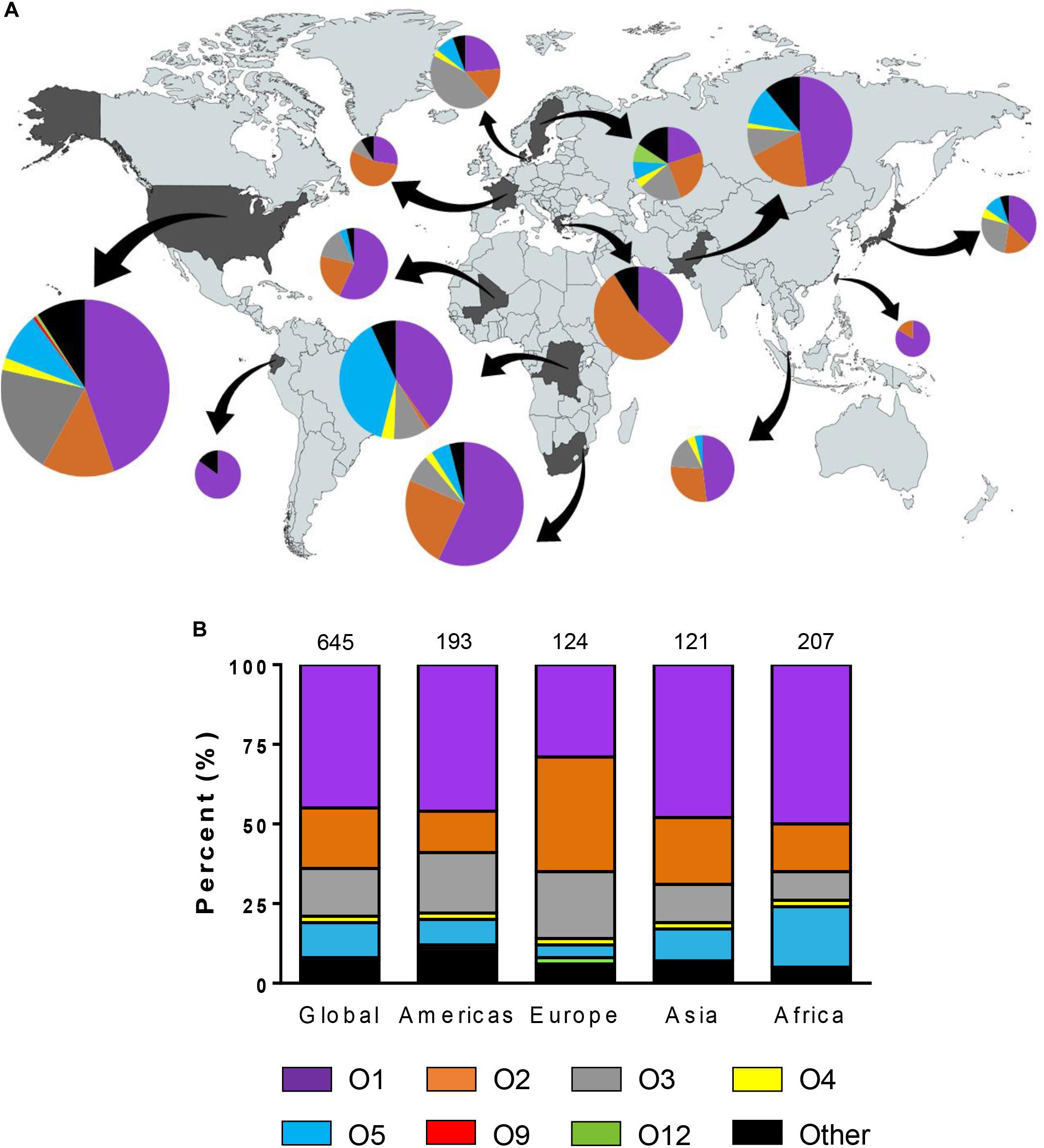 Frontiers The Diversity Of Lipopolysaccharide O And Capsular Polysaccharide K Antigens Of Invasive Klebsiella Pneumoniae In A Multi Country Collection Microbiology