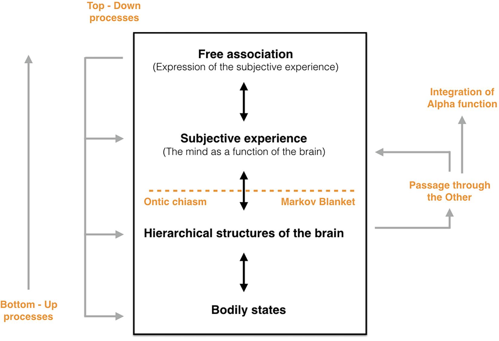 developmental psychology journal articles free