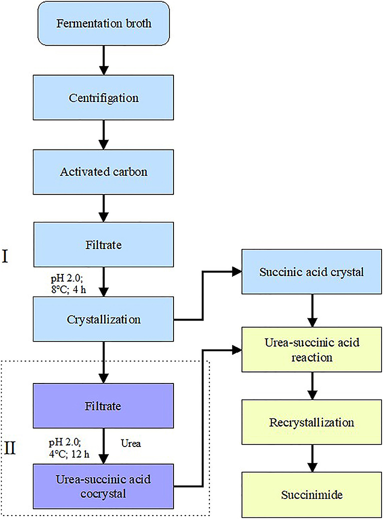 Exploring Stearic Acid: Sources & Production Methods, by Chemtradeasia