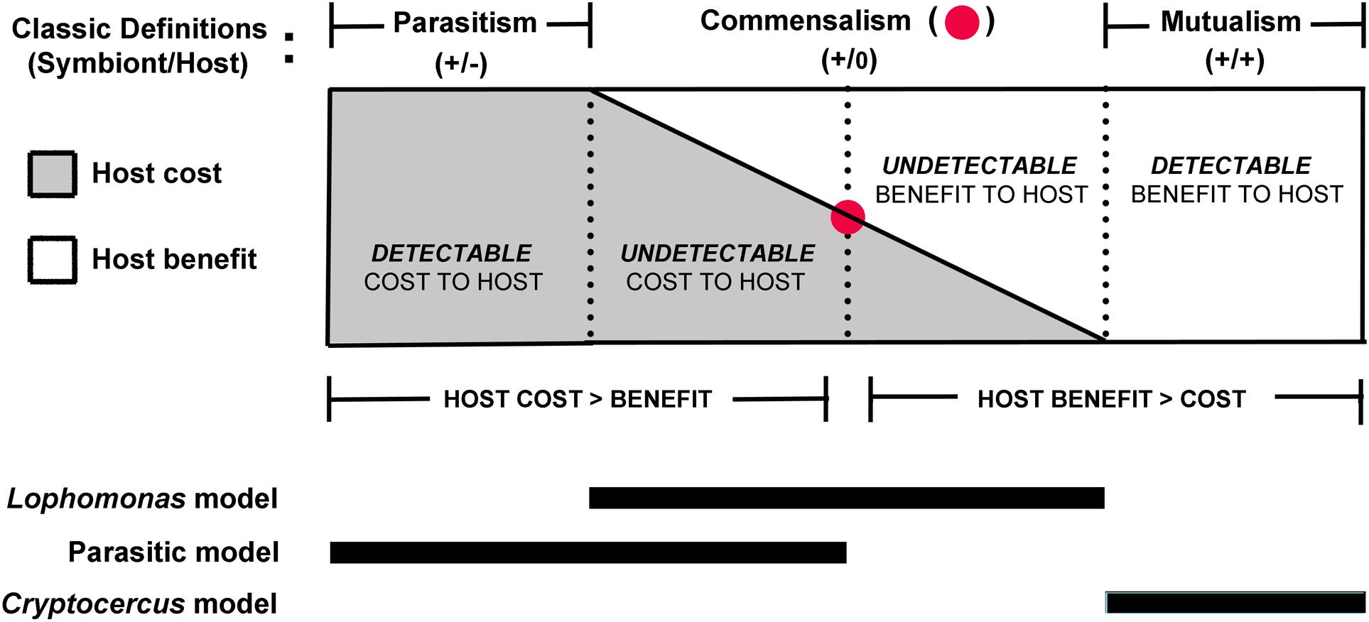 www.frontiersin.org