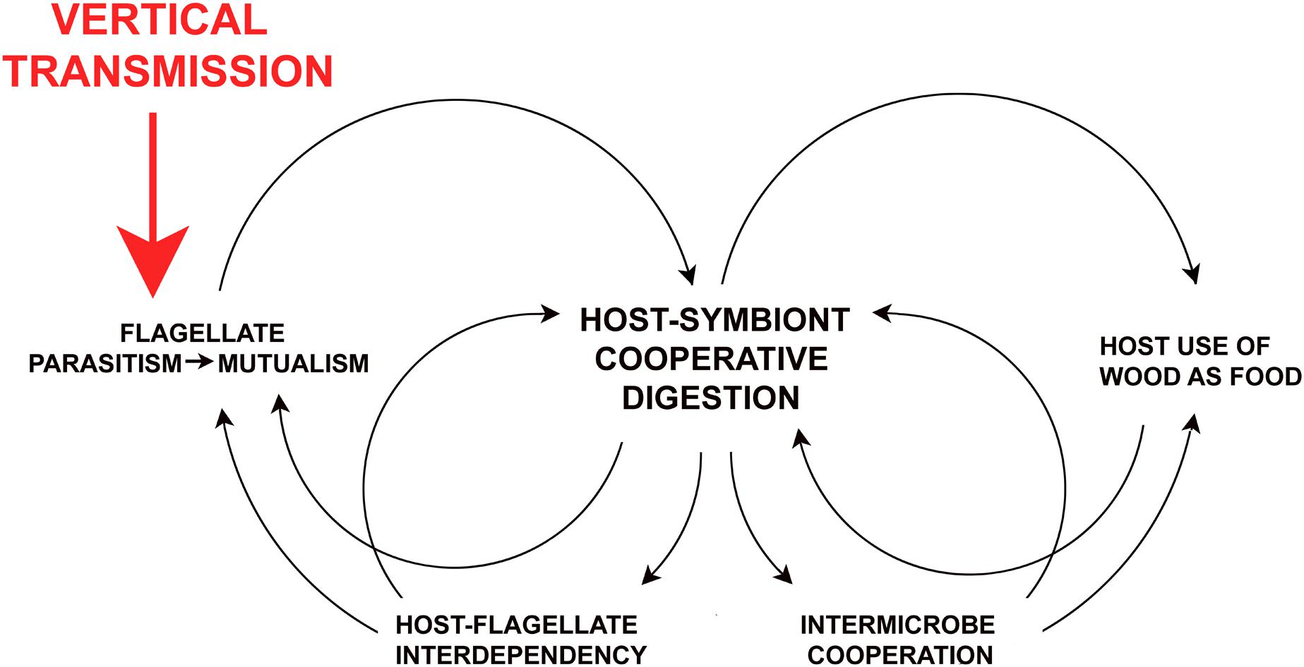 www.frontiersin.org