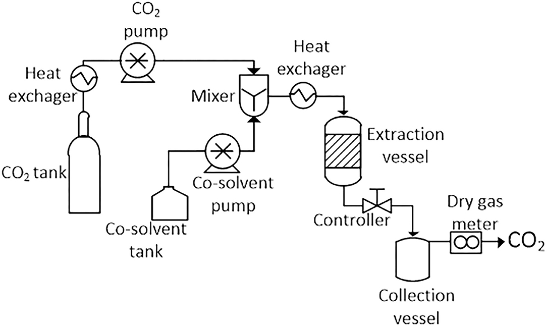 C1q binding of crude plant extracts. Crude extracts were