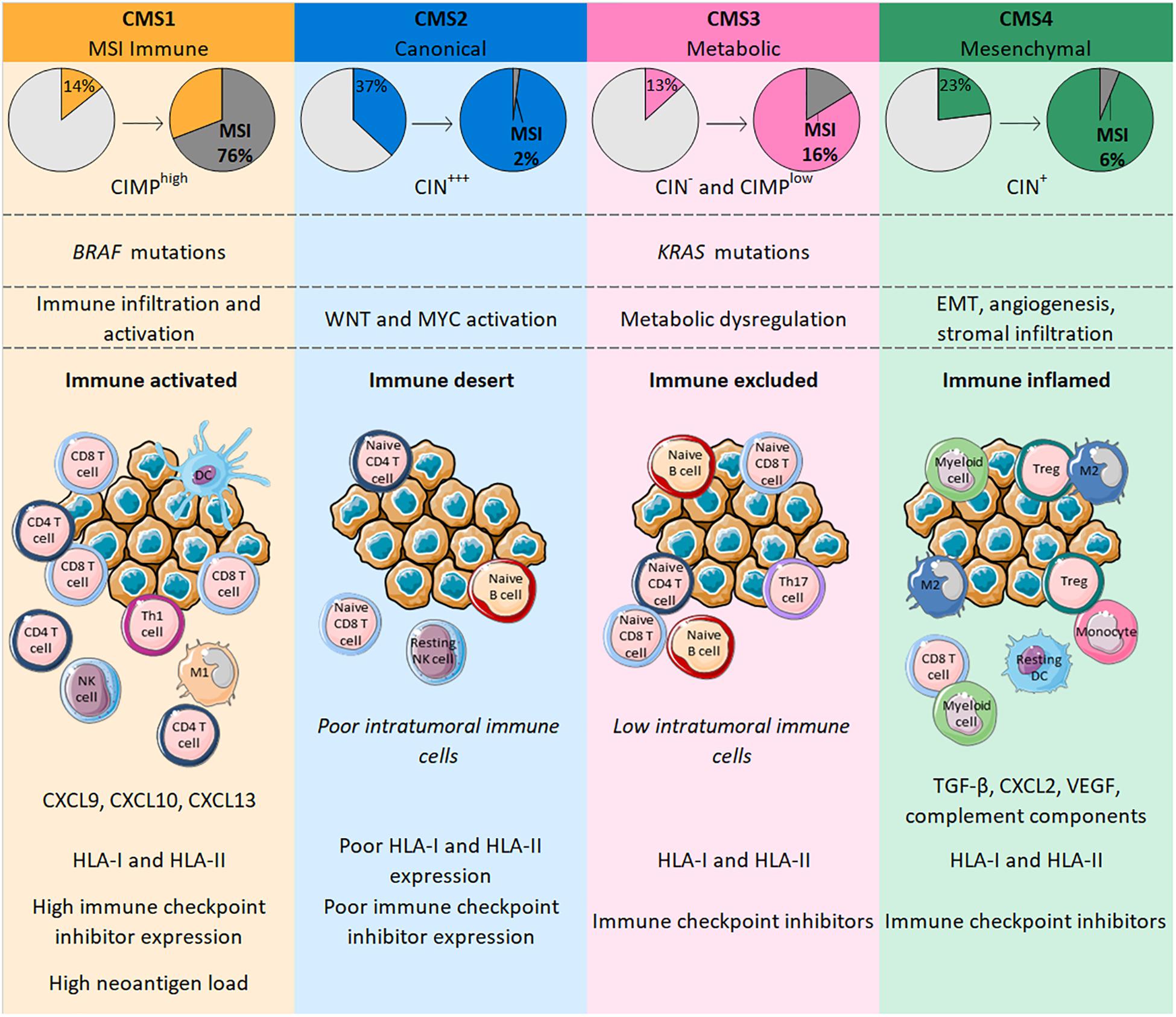 Frontiers | Relationships Between Immune Landscapes, Genetic Subtypes ...