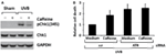 www.frontiersin.org