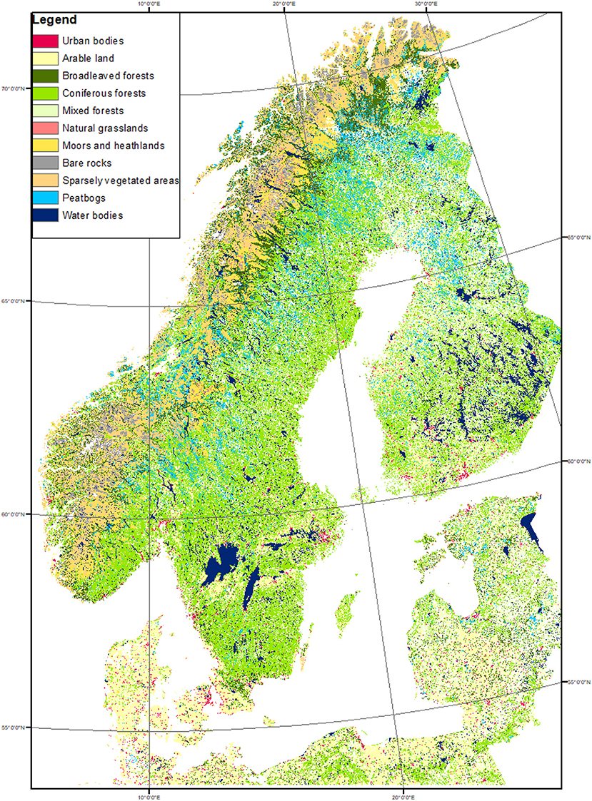 Taiga biome, boreal snow forest. Terrestrial ecosystem world map