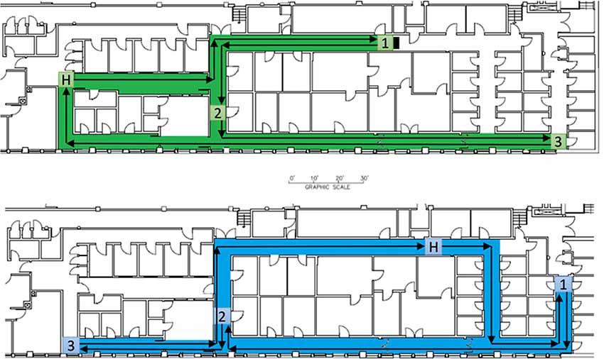 Frontiers  Cognitive Mapping Without Vision: Comparing Wayfinding