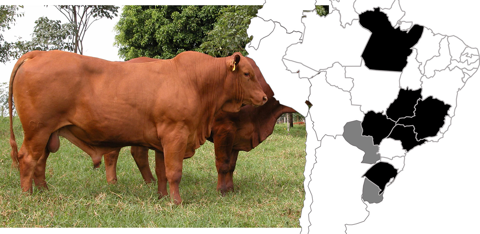 www.frontiersin.org