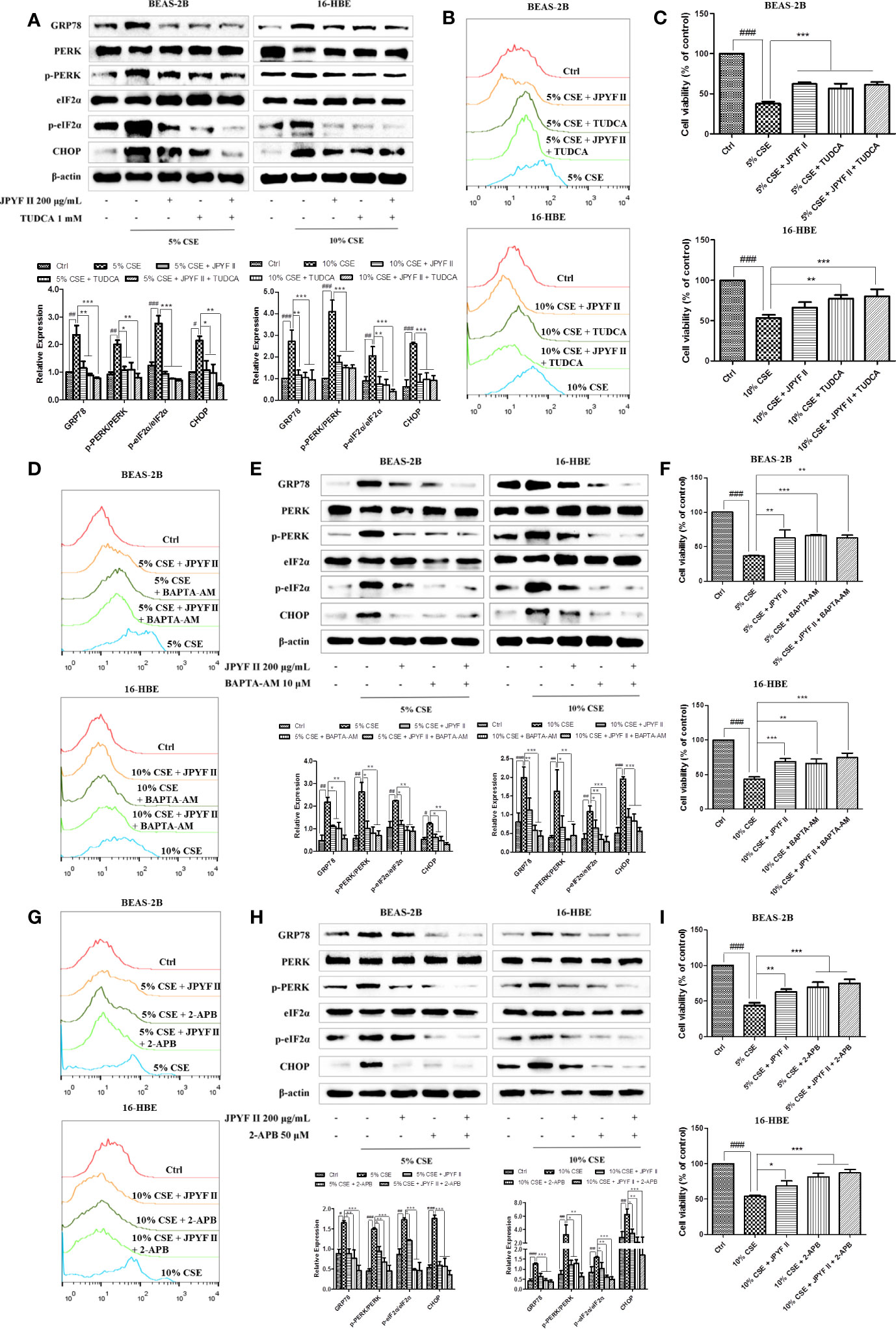 Frontiers | Jianpiyifei II Granules Suppress Apoptosis of