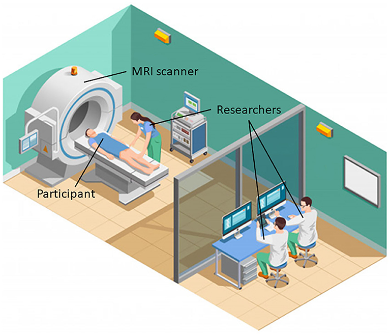 Figure 3 - Researchers use MRI scanners to study people’s brains.