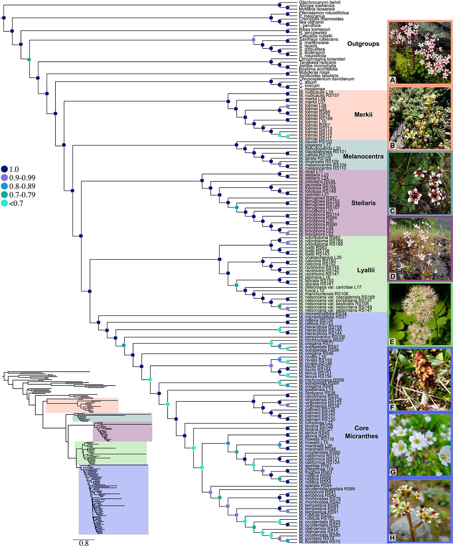 Figure 1 from Stubbs et al 2020