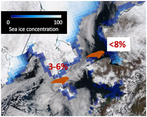 Figure 2 - Data from several sources can be combined to give a more complete picture of sea ice.
