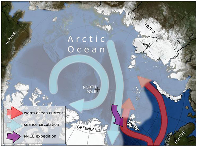 Figure 1 - A map of the study area, with a drift track of the research ship Lance, sea ice movement patterns, and warm ocean currents indicated with arrows (see legend).