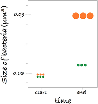 Figure 1 - Size of bacterial cells at the start and end of the experiment with water from the surface (in green) and water from the fish layer (in orange).