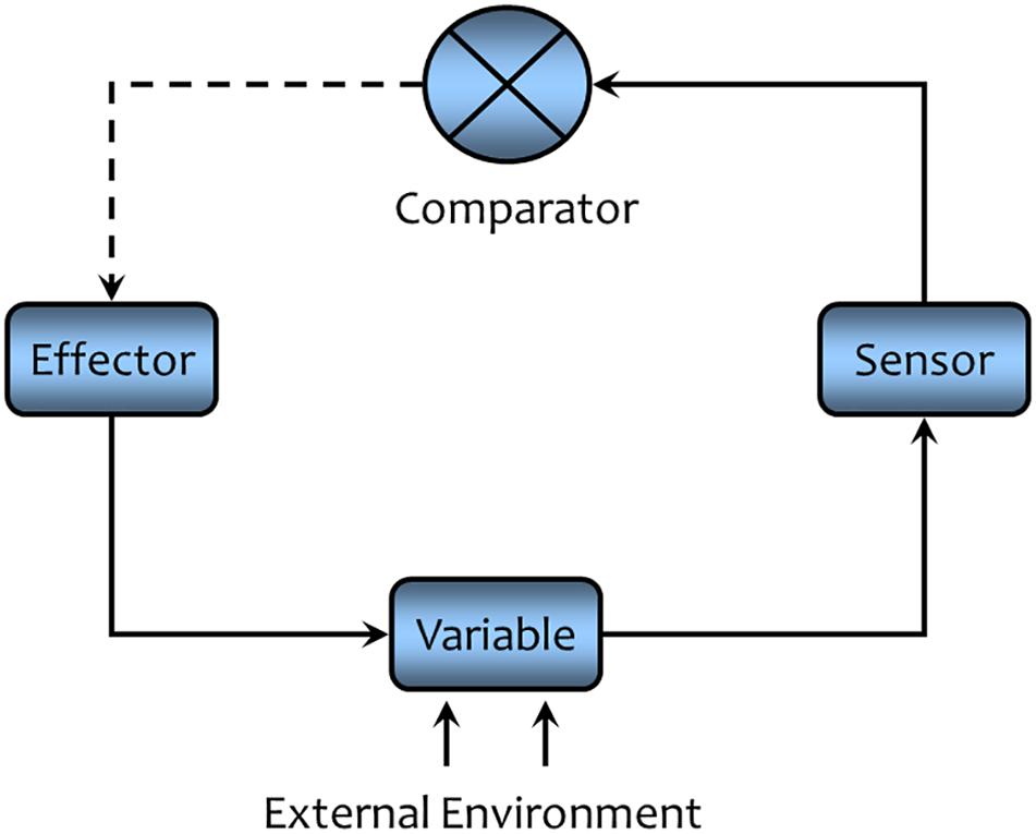 Connected components. Open-closed principle диаграмма. Feedback Regulation что это. Solid line. Negative feedback in Electronics schemes.