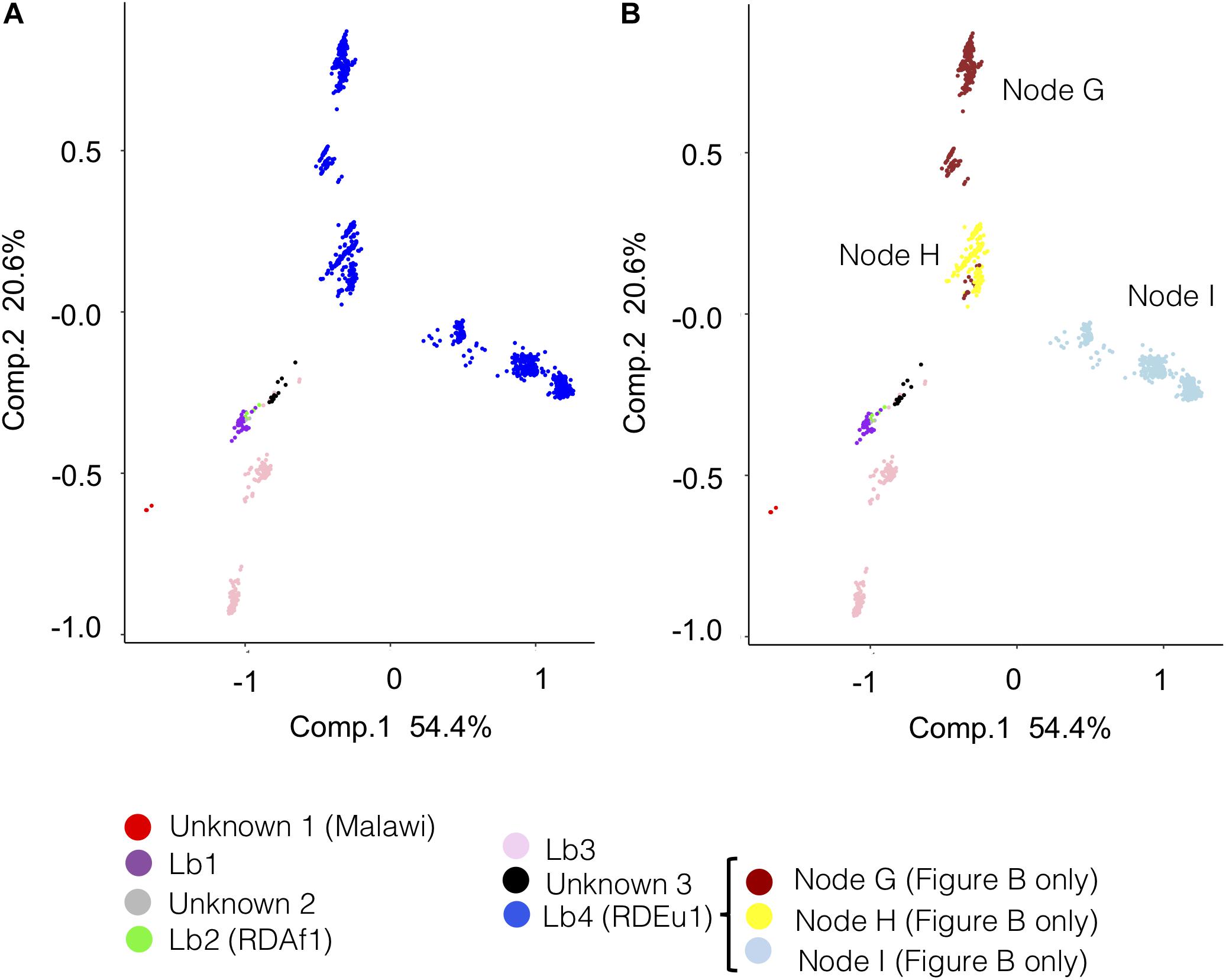 Frontiers Global Distribution And Evolution Of Mycobacterium Bovis Lineages Microbiology