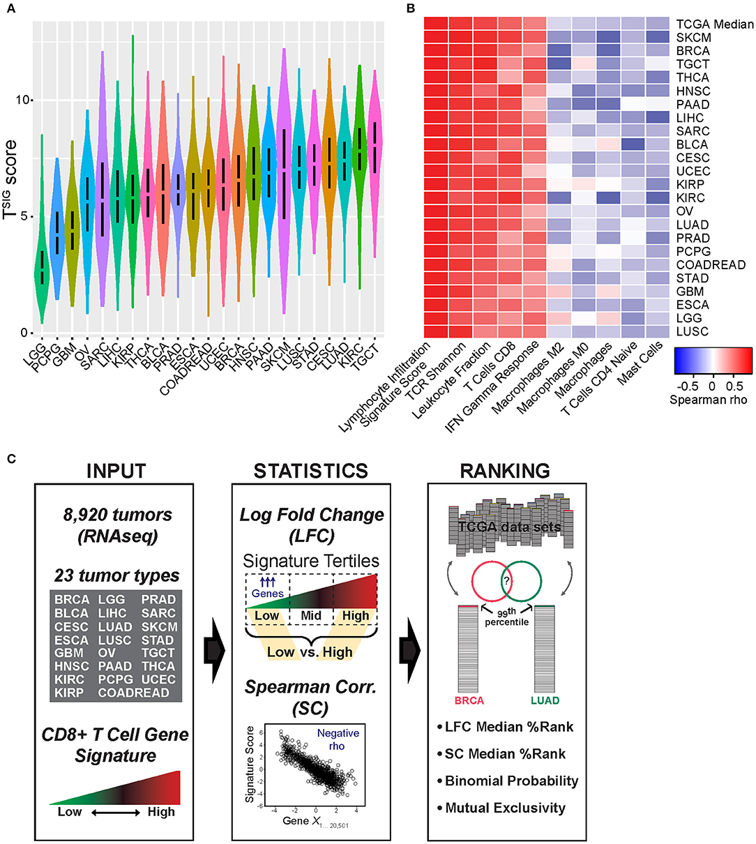 PDF) RNA-Seq analysis of Gtf2ird1 knockout epidermal tissue