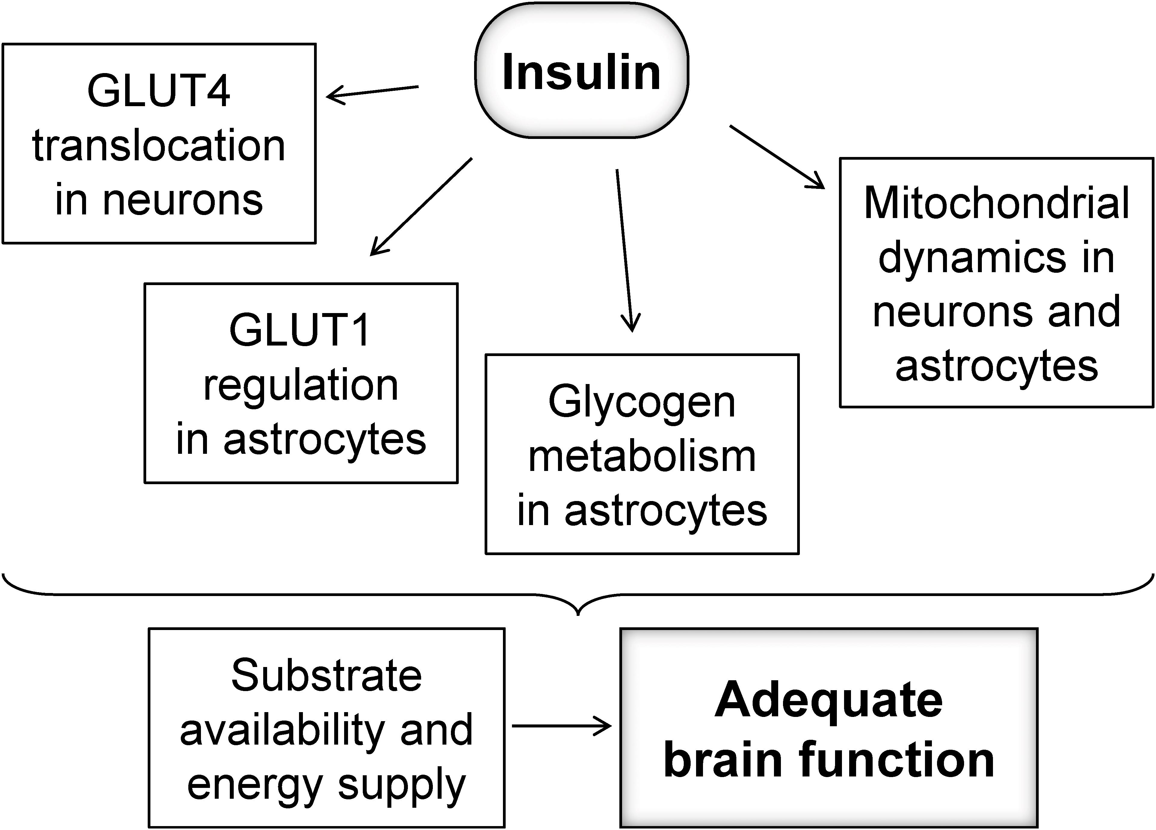 endocrinology diabetes and metabolism journal (edmj)