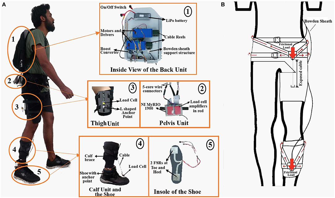 Frontiers  Evolving Toward Subject-Specific Gait Rehabilitation Through  Single-Joint Resistive Force Interventions