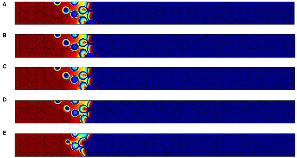 www.frontiersin.org