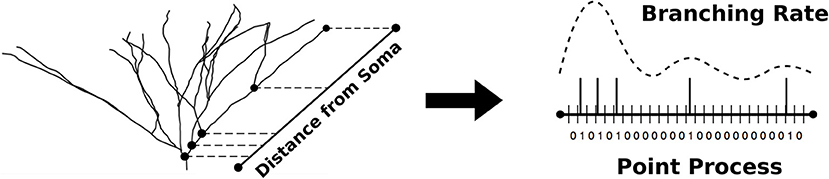 www.frontiersin.org