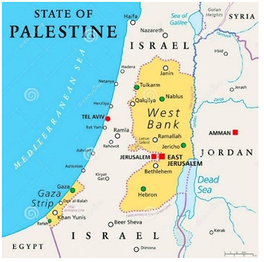 www.frontiersin.org