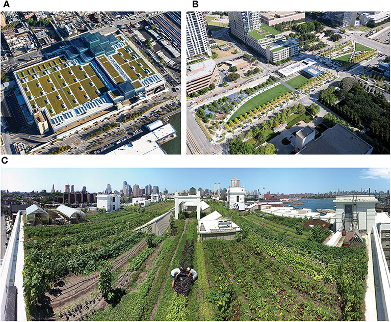 The Urban Advantage: Exploring the Benefits of Hydroponic Farming