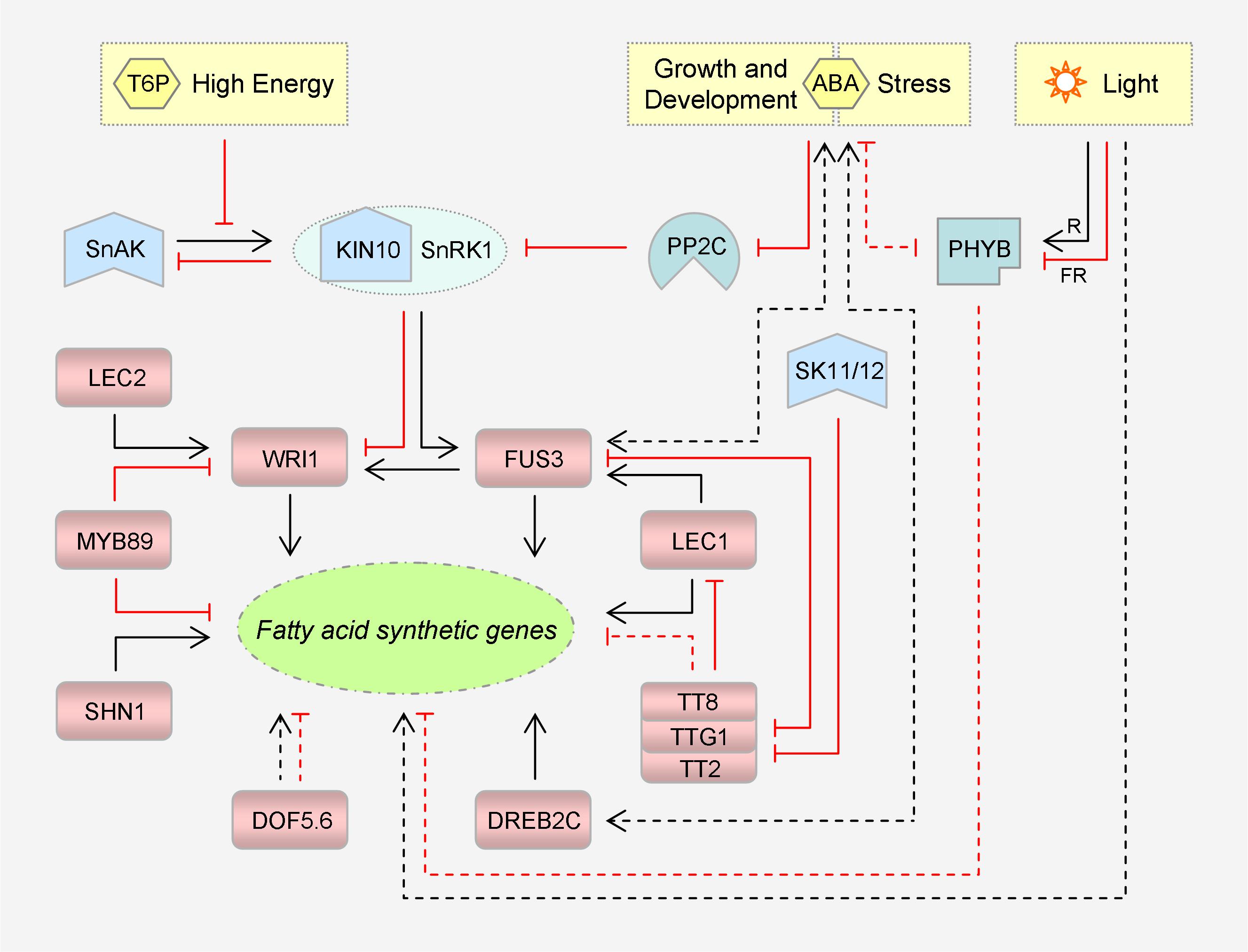 EP2166089A2 - Method for production of polyunsaturated fatty acids