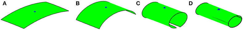 www.frontiersin.org
