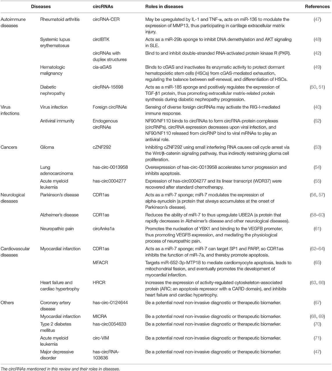 Frontiers | The Role of Circular RNAs in Immune-Related Diseases