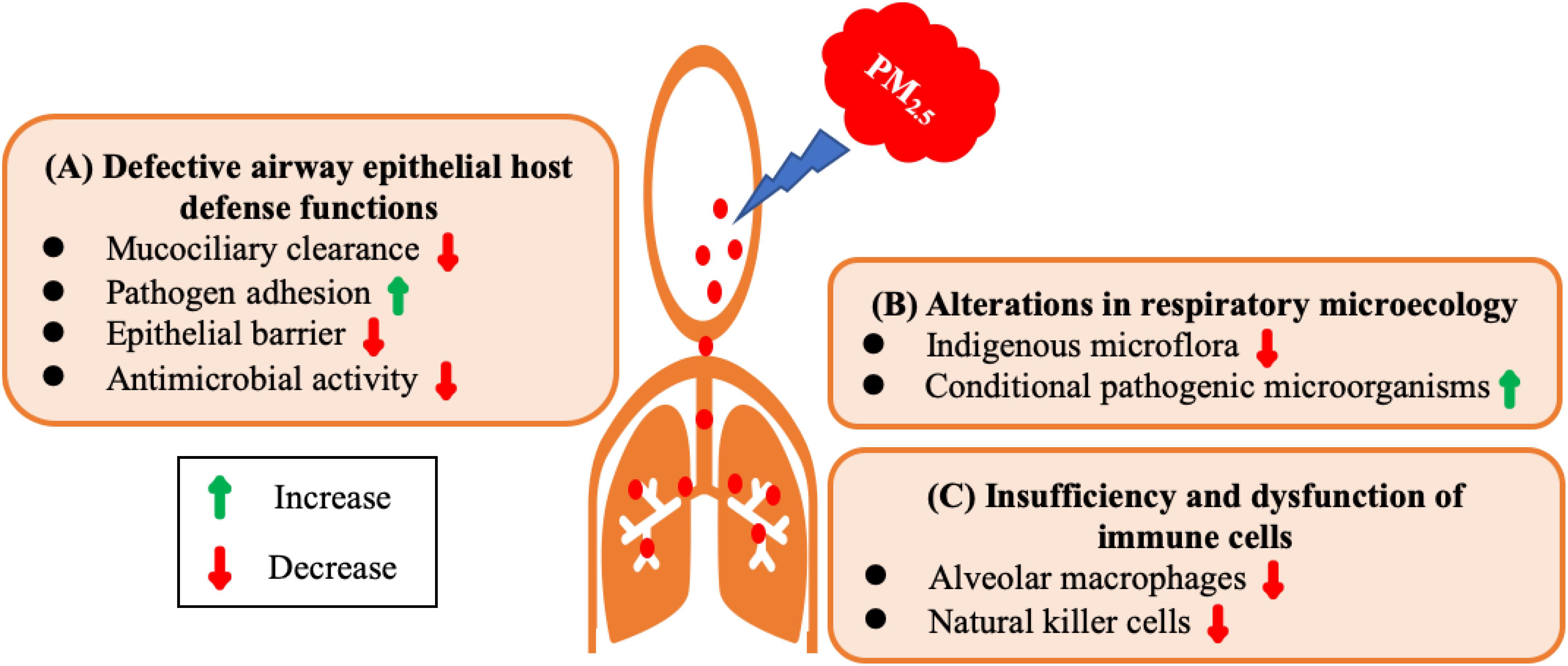 Short-term PM2.5 exposure and cognitive function: Association and  neurophysiological mechanisms - ScienceDirect