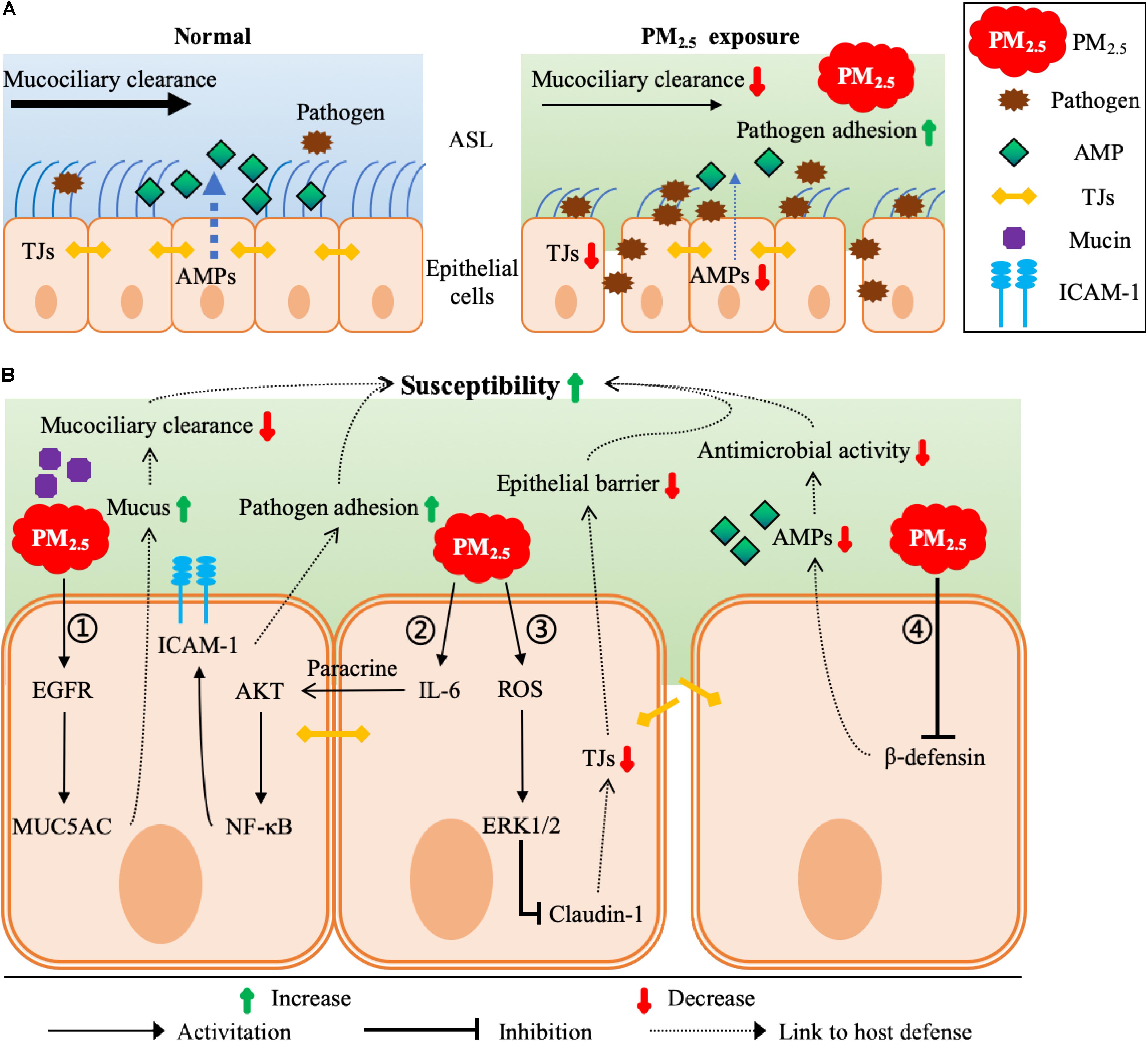 Short-term PM2.5 exposure and cognitive function: Association and  neurophysiological mechanisms - ScienceDirect