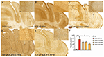 www.frontiersin.org