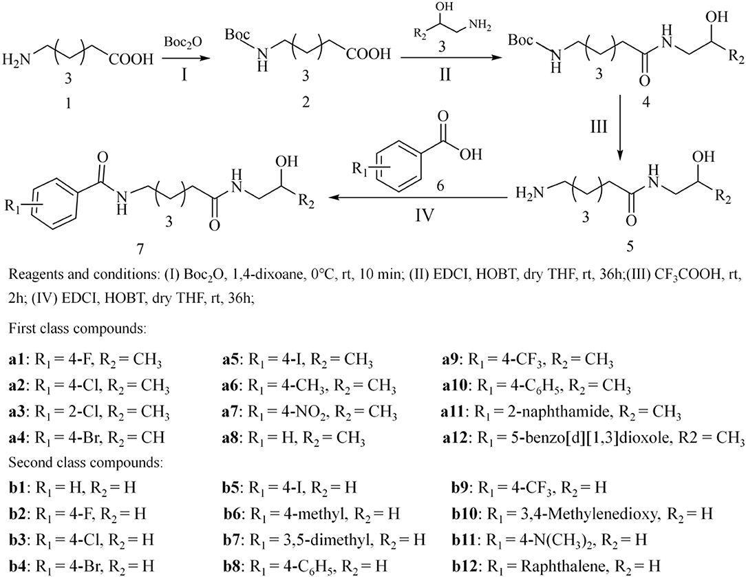 Frontiers | Synthesis and Biological Evaluation of HDAC