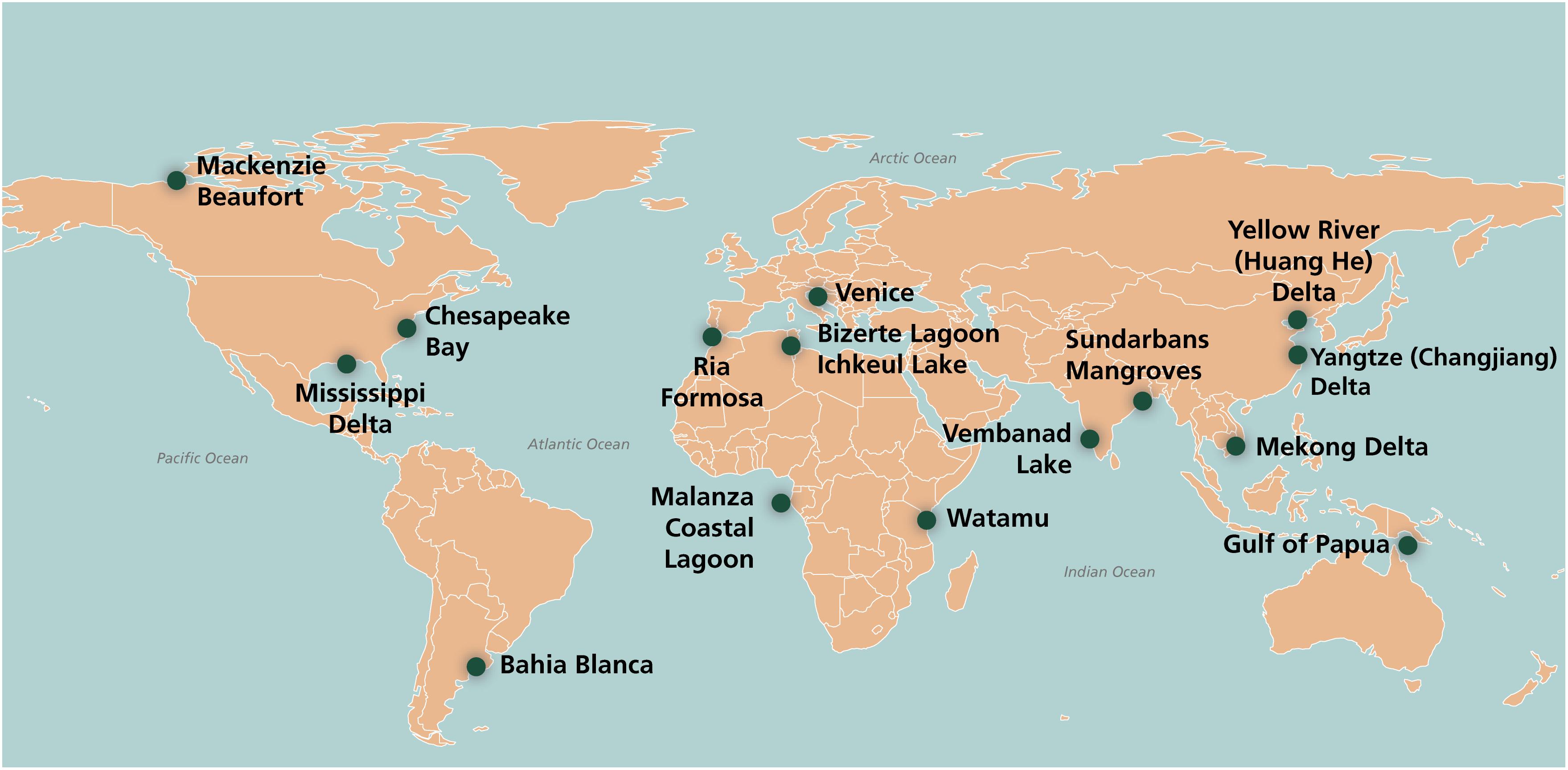 Dead Tree Standing: Saltwater Threatens Coastal Forests and Ecosystem  Services - Circle of Blue