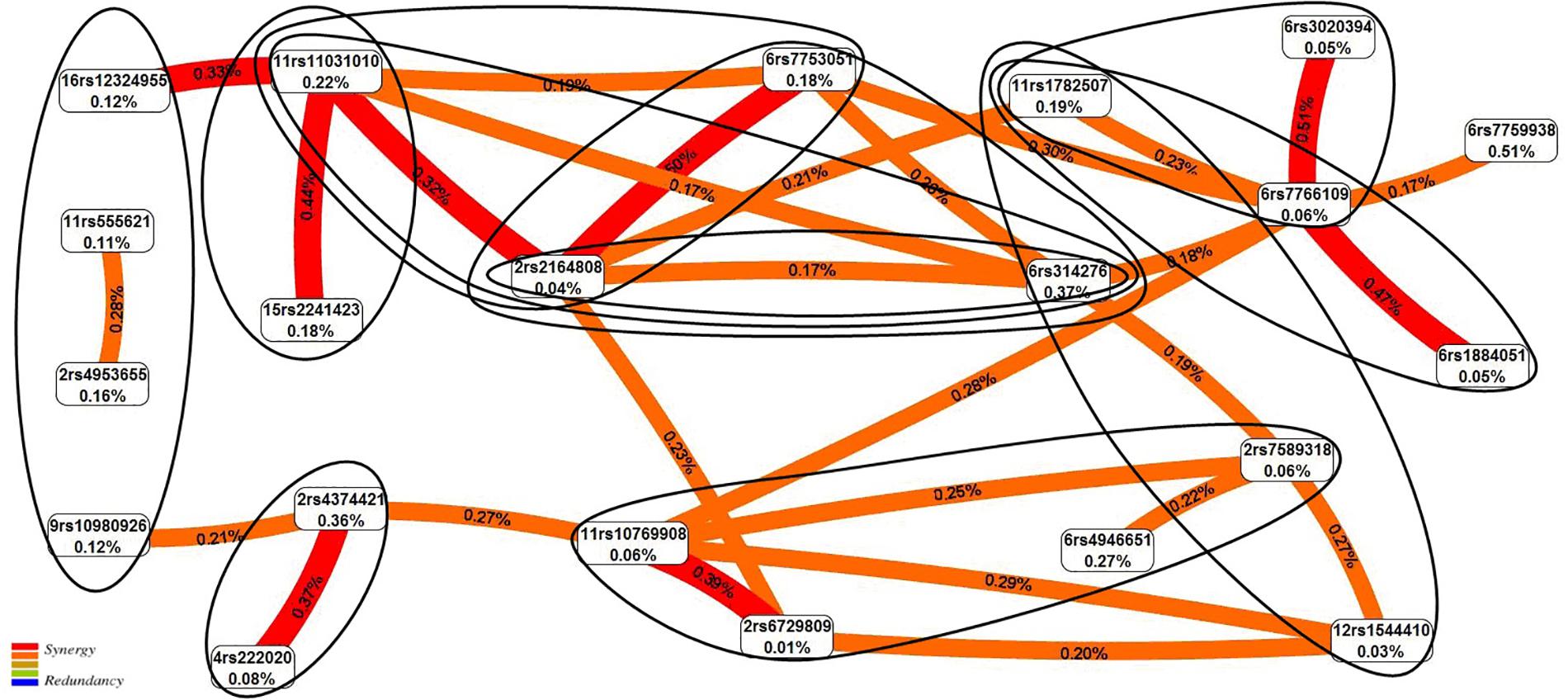 Frontiers Candidate Genes For Age At Menarche Are Associated With Uterine Leiomyoma Genetics