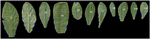 www.frontiersin.org