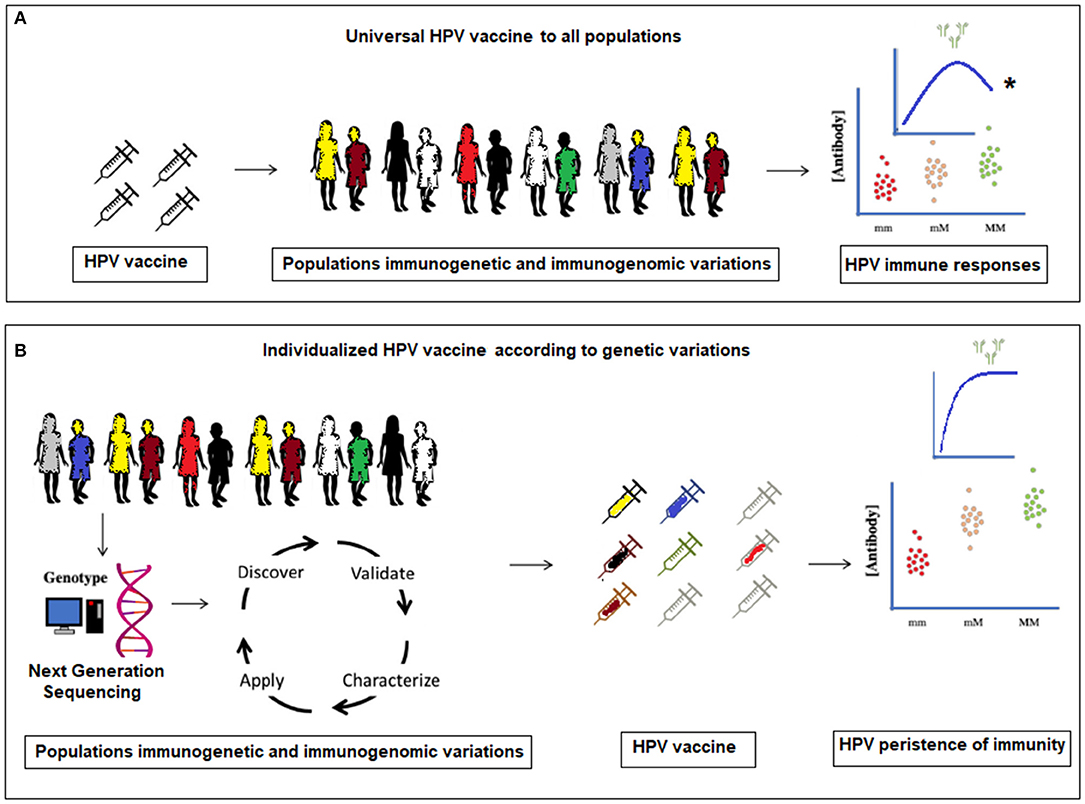 Human papillomavirus vaccine discovery Human papillomavirus in sinhala