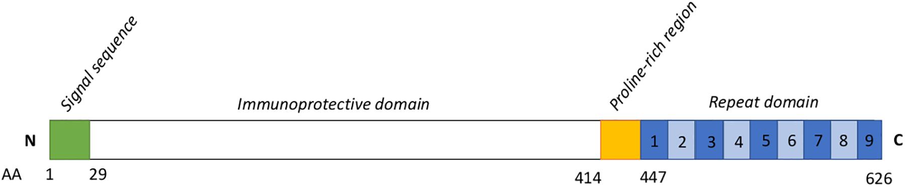 www.frontiersin.org