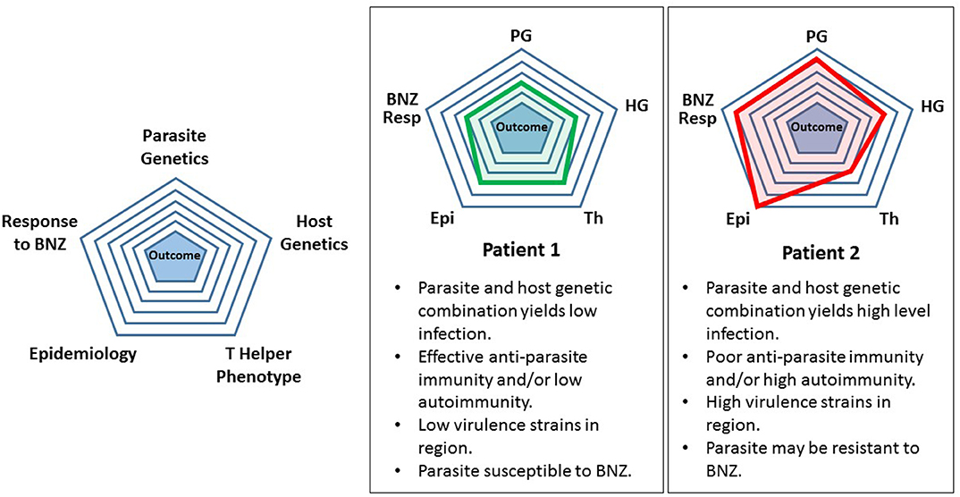 An Updated View of the Trypanosoma cruzi Life Cycle: Intervention Points  for an Effective Treatment