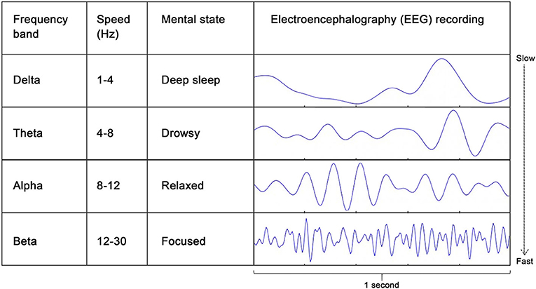 Measuring Brain Waves in the Classroom · Frontiers for Young Minds