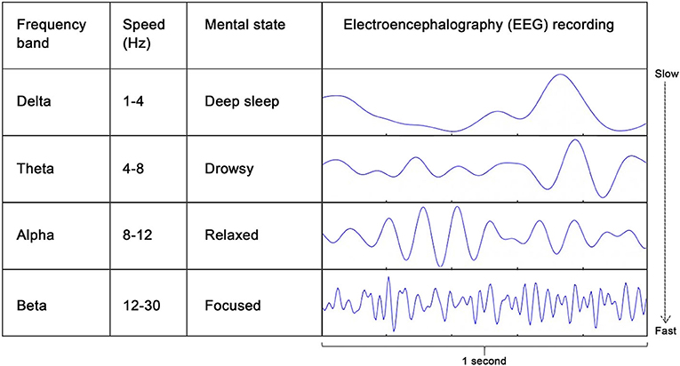 图 1 - 从慢到快排列的 EEG 频带及其与个体心理状态的关系。